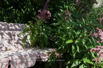 ��� ������� ���, ������� ������ ��� ������ ������