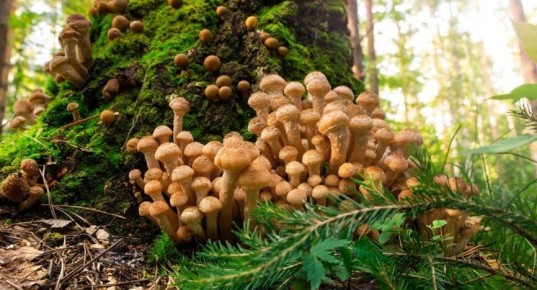 ������� ����� 2026: ��� �������� � ������� �� ������ ������