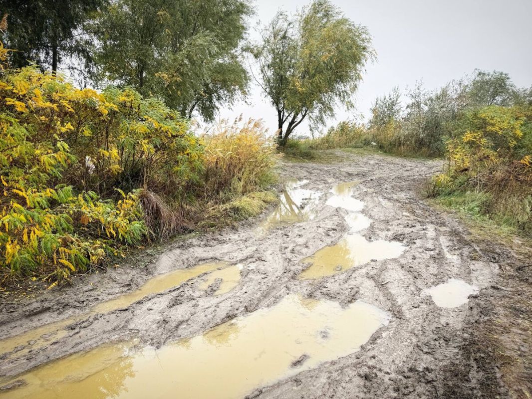 Осенние радости: как рыбалка на Дону восхищает и радует
