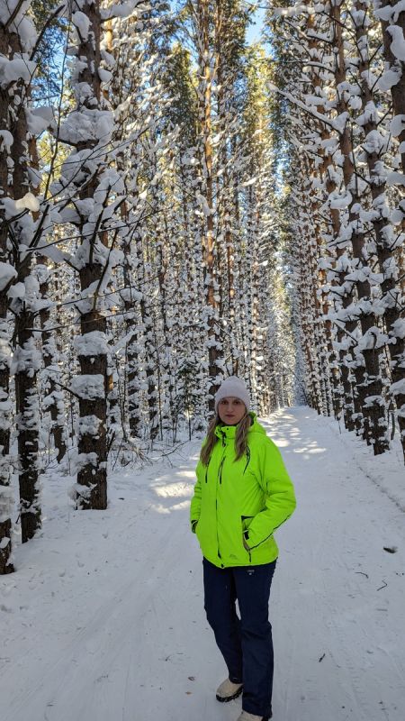 Каникулы и кино: лучшие фильмы на новогодние праздники