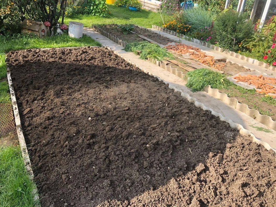 Доступный метод улучшения почвы: секреты использования крупы