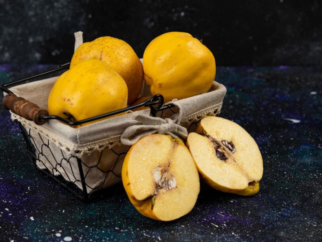 ����: ������� ��������� �����, ����� ���������� � ������������