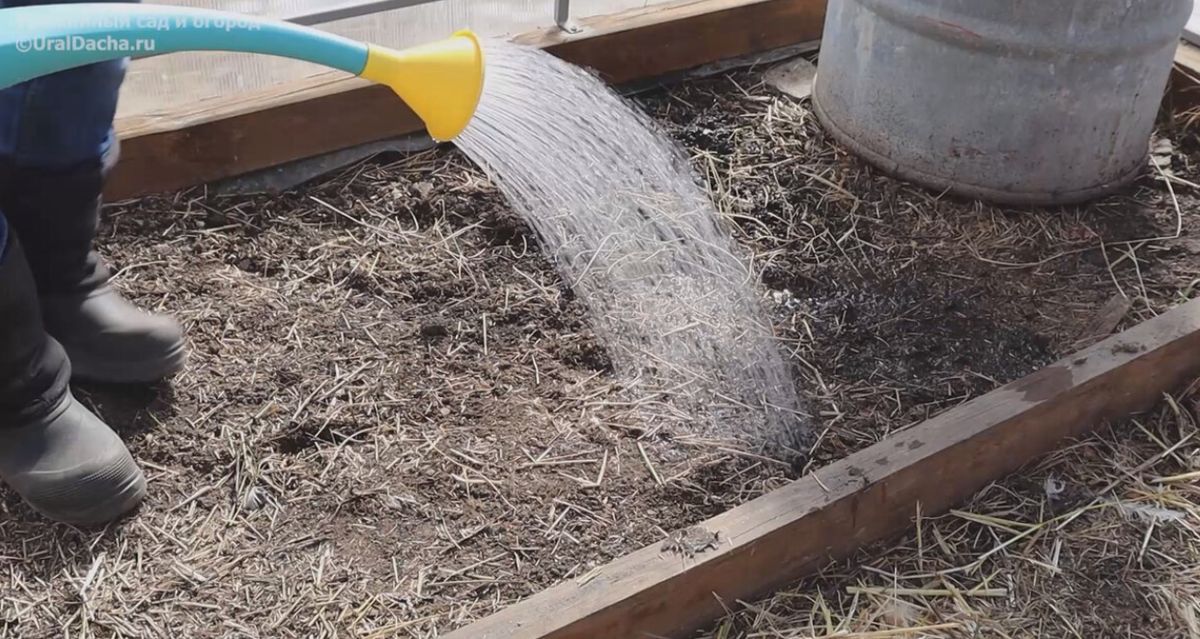 ����� ��� �������: ��� �������� �� �� �������� ��������