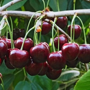 ������������ ����� �������: ��� ������ ������ ��������� ������� �����