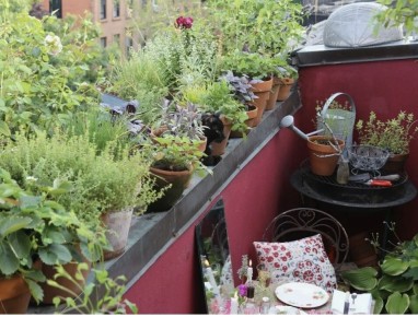 ����-������ �� �������: ��� ������� ��� ������� � ���