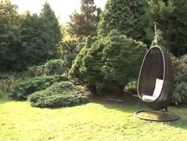 Как создать идеальный ландшафтный дизайн на своем участке