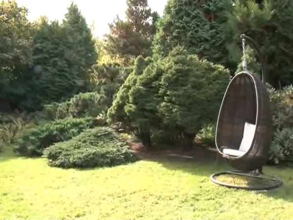 Как создать идеальный ландшафтный дизайн на своем участке