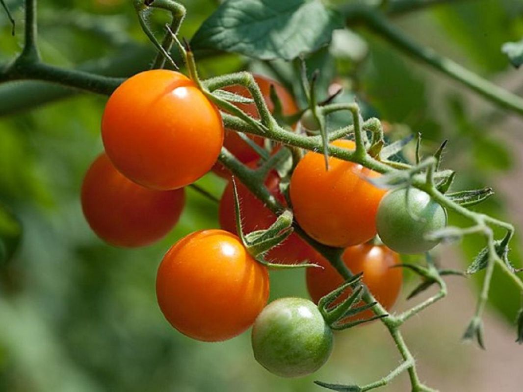 ������ ����� ������������� �������� � ����� ����� ����������