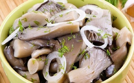 Как всего за сутки приготовить маринованные вешенки с горячим рассолом