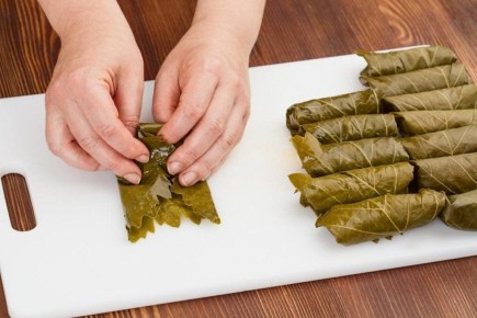 ���� �����������: ����� � ��������� � ����� � ��������� ������������ �����