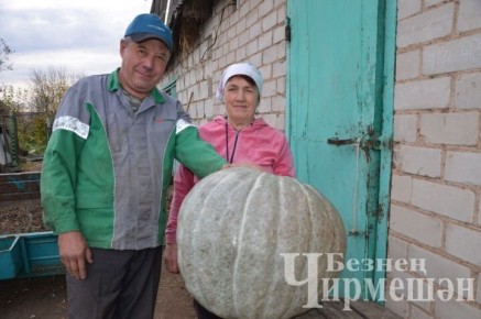 Семья из Туйметкина собрала гигантскую тыкву весом более 34 килограммов