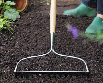 ��� ������� �������� ��������� ����� ������