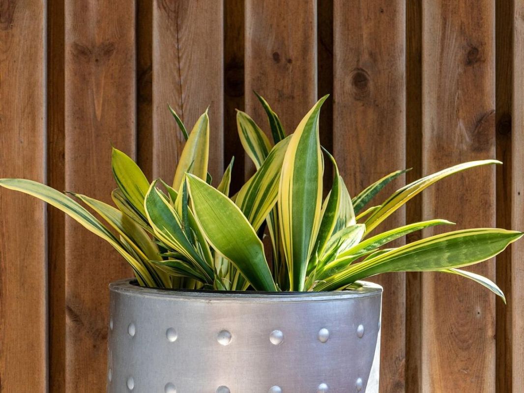 ��� ������� ��� � ����� ��������: ��������, �� ��������� ���������� �����