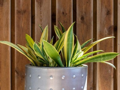 ��� ������� ��� � ����� ��������: ��������, �� ��������� ���������� �����