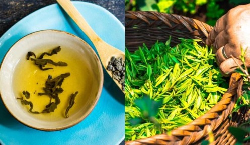 Как зеленый чай может преобразить ваш сад: советы от садоводов