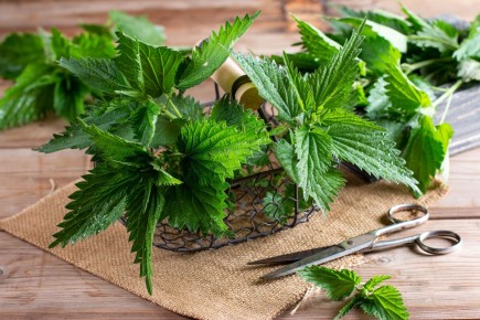 �������: ��� ������ ������� �������� �������� � �������