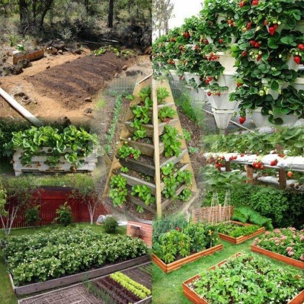 ������� �������� ������� ��������: ��� ������� ����� � �����