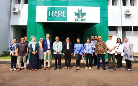 Индонезия объявила о разработке уникальных рекомендаций по выращиванию риса