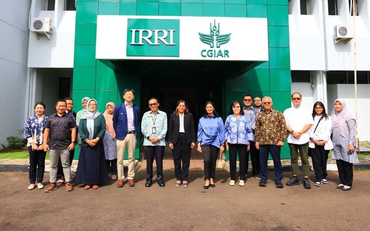 Индонезия объявила о разработке уникальных рекомендаций по выращиванию риса