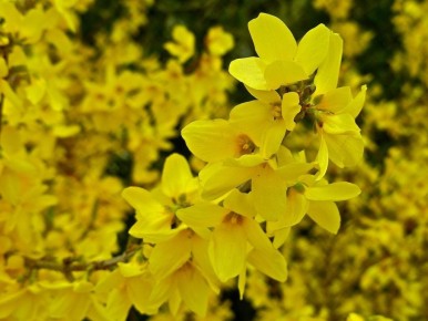 ��������: ����� ������ �����, ������� ������ ��� ���