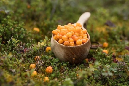 �������: ��������� �������� �����