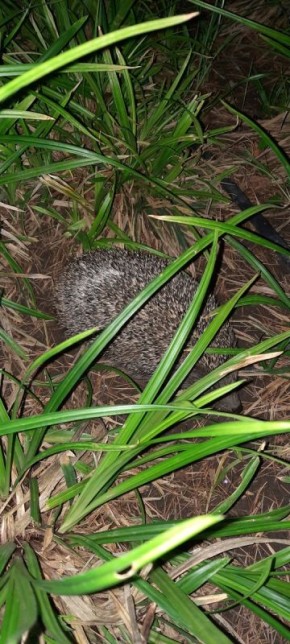 ������� � ������ ��������: �������, ������ ����� � ������ �����