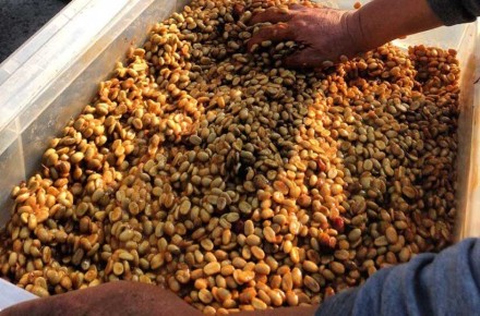 ��� ��������� ���� ��������� ��� ���������� ����: �������� ��� ���� ��� ��������