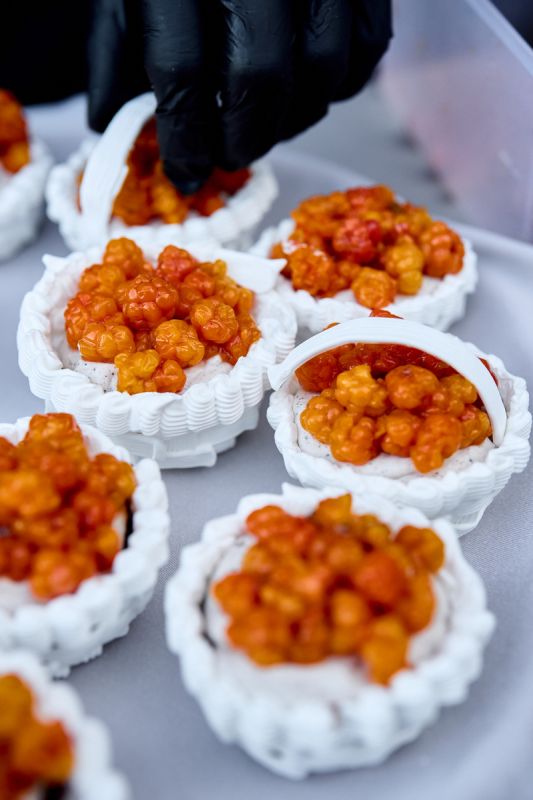 �������: ������������ ����� � ���������� ������