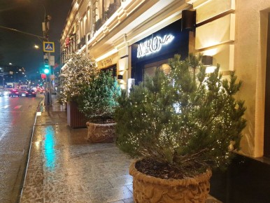 ����������� ������ �� ��������: �������� Avero mio ������� ������������ �����