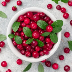 Как сохранить клюкву на весь год: секреты хранения для здоровья