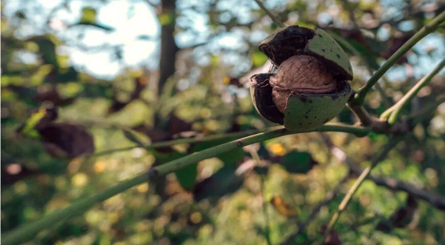 ������� �����: ������������� ����� � ������ � �������� ����������