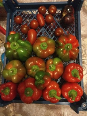 ���� �� ��������� ������: ������� ������ ��� ���������