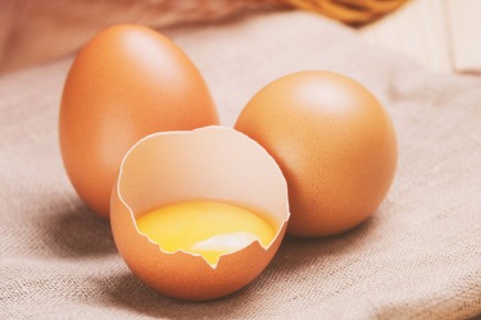 ������-������: ����������� �� ������� � �����