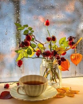 ���������� ����������� �����: ������� � ����� � �������