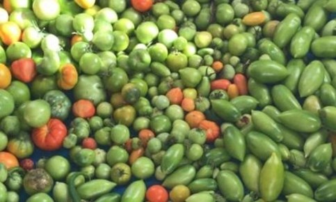 ���-4 ������ ������ �����-����� ��� ������ ���������� ���� � 2026 ����