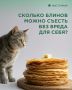 Масленица в разгаре: как угощаться блинами с умом
