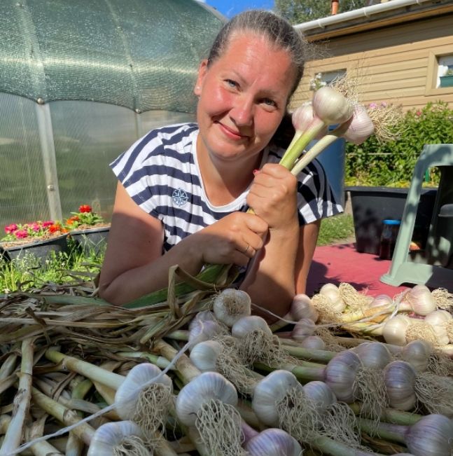 ����������� �������� ������� �����: ��� �������� ���������������� ������