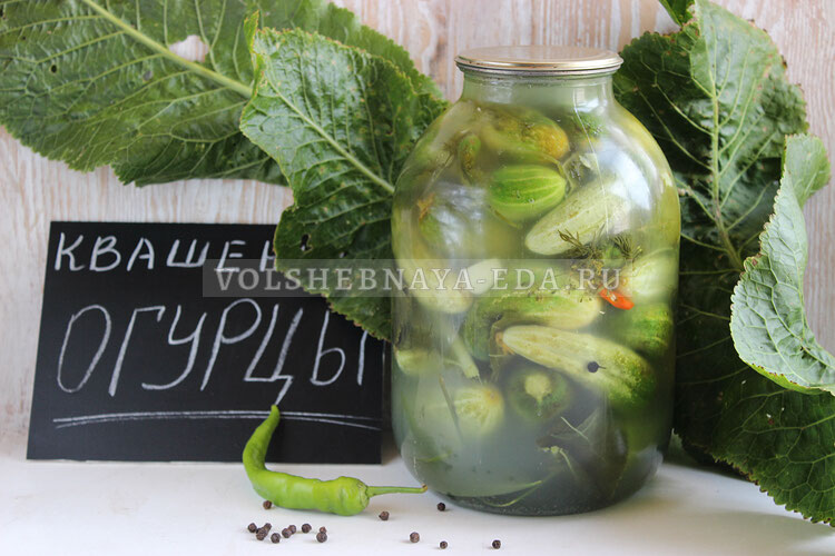 Как заквасить бочковые огурцы с зеленью на зиму