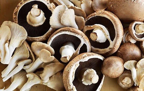 �����: �������� ��������� ��� ������� ������?