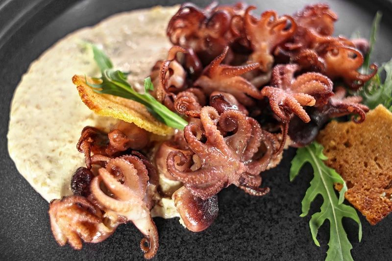 ����-��������� � ������ �����: ������������ ���������������� ����