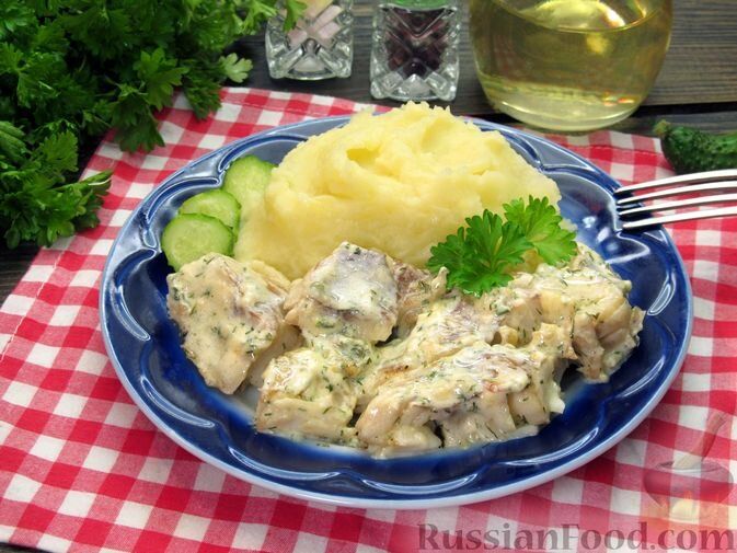 ����������� ����� �� ������ ����: ������� ���� �� ��� �����