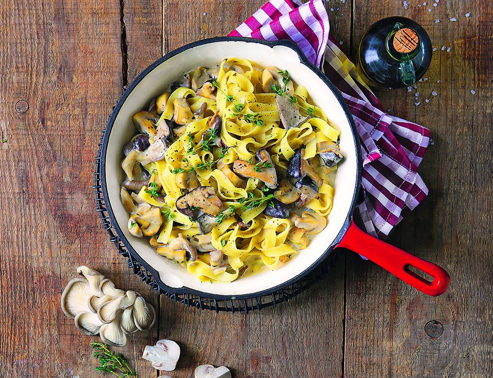 ���������� � ���������: ������� ������� ��� ��������� ������