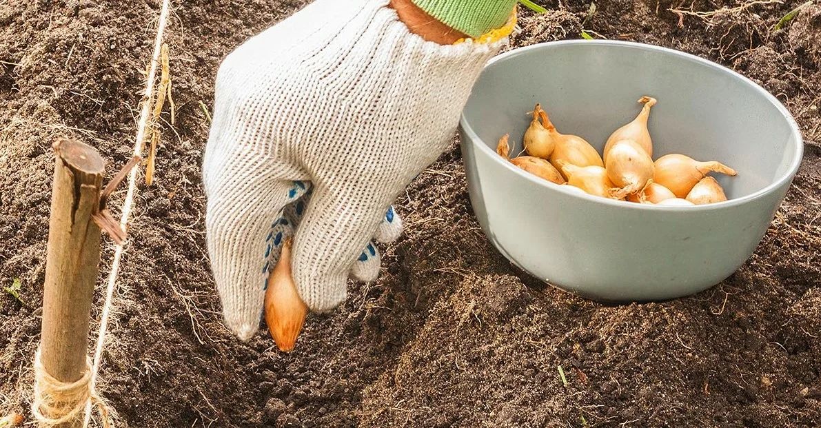 ������� ���: ����� � ������������ ��������� �������