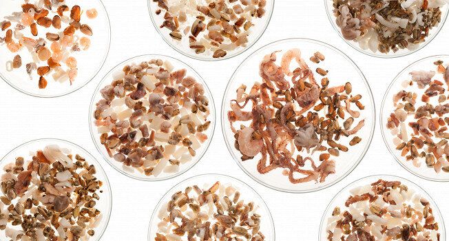 ������� ������������ ������� ���������: ��� ������� ��� ���������� �����