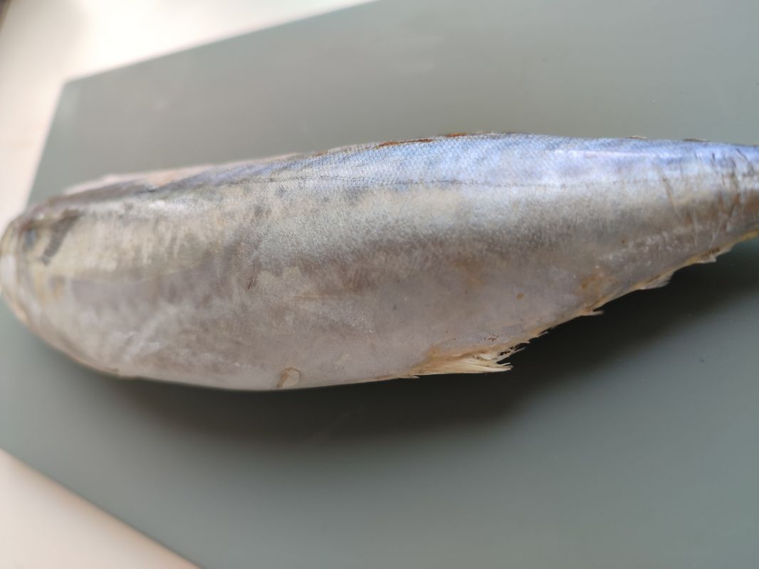 �������� �� ��������: ������ � ������