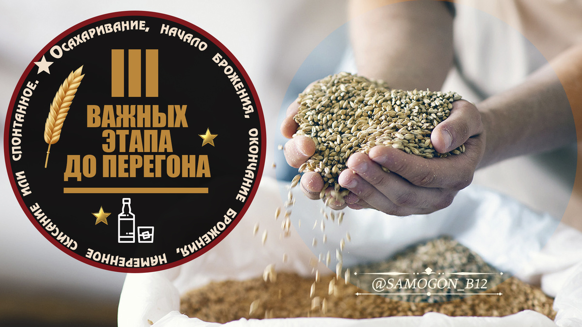 Как осахарить и сбраживать зерновые: пошаговое руководство для новичков