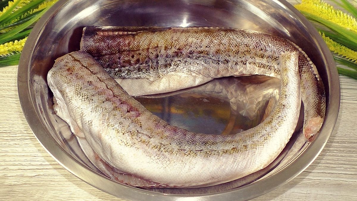 ��� ������� ������� ����, ����� ������� �����