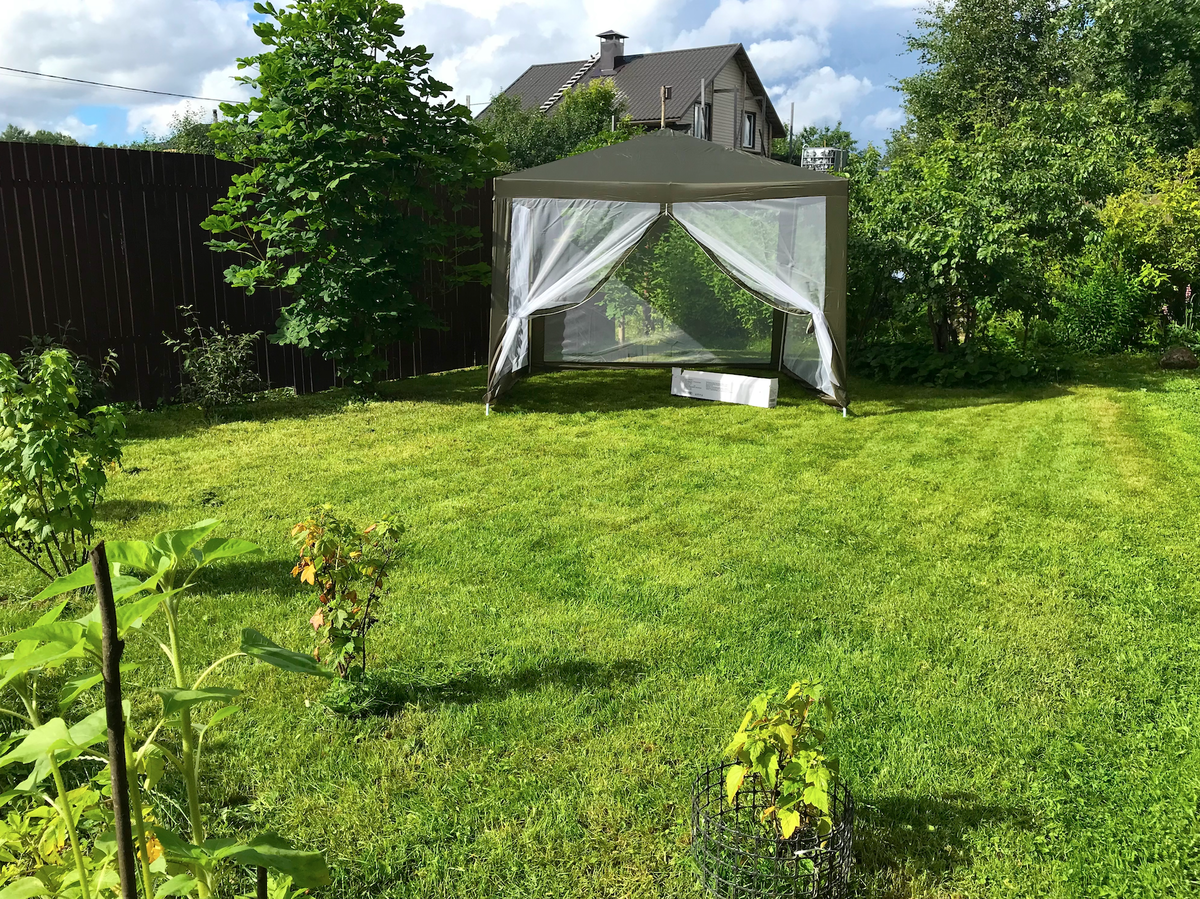 Как прошел незабываемый юбилей на свежем воздухе