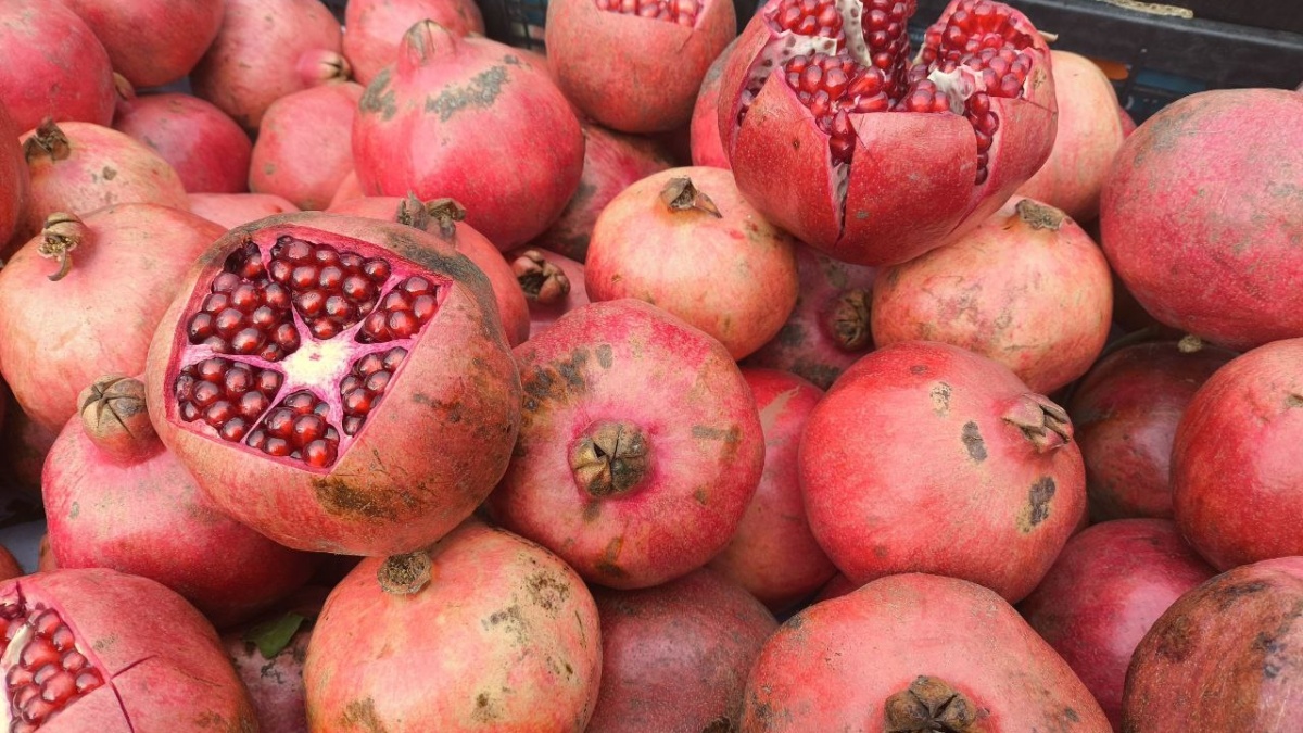 Как сохранить гранат: секреты от новичков до гурманов