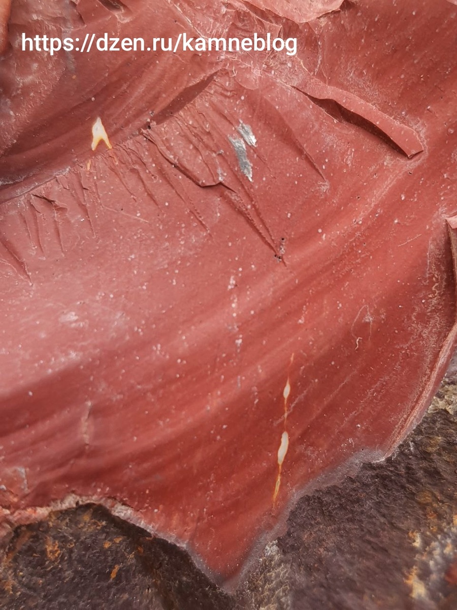 Мукаит: Вдохновение из глубин океана